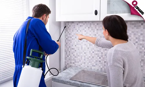 Pest Control Services!